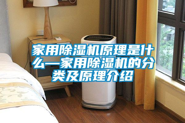 家用除濕機原理是什么—家用除濕機的分類及原理介紹