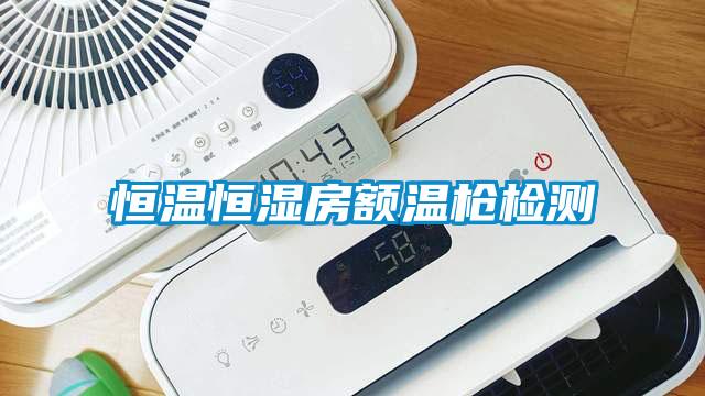 恒溫恒濕房額溫槍檢測(cè)