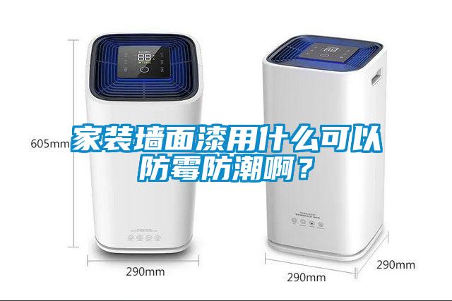 家裝墻面漆用什么可以防霉防潮?。?></div>
								<div   id=