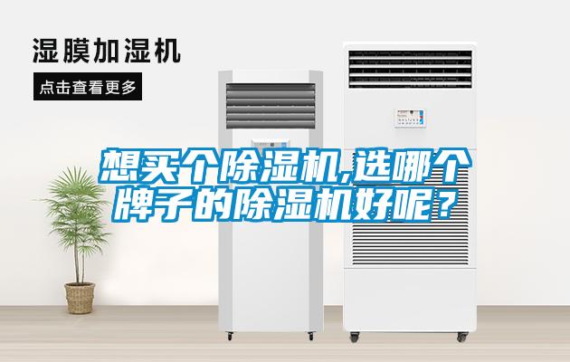 想買(mǎi)個(gè)除濕機(jī),選哪個(gè)牌子的除濕機(jī)好呢？