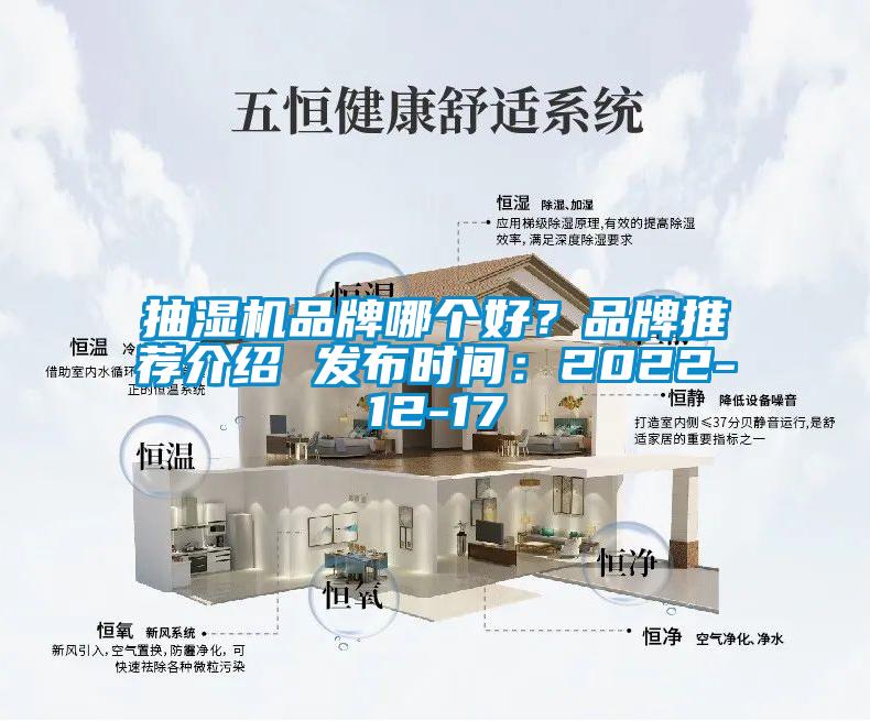 抽濕機品牌哪個好？品牌推薦介紹 發(fā)布時間：2022-12-17