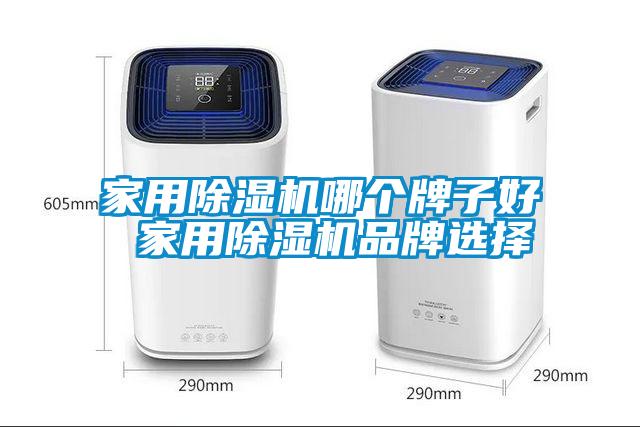 家用除濕機哪個牌子好 家用除濕機品牌選擇