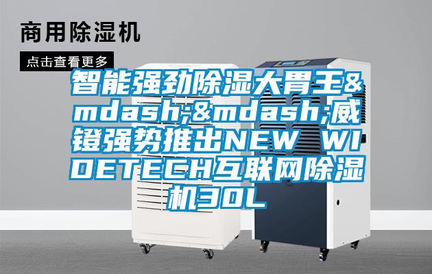 智能強勁除濕大胃王——威鐙強勢推出NEW WIDETECH互聯(lián)網除濕機30L