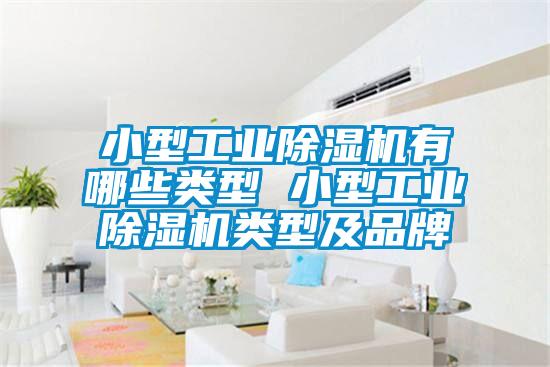 小型工業(yè)除濕機(jī)有哪些類(lèi)型 小型工業(yè)除濕機(jī)類(lèi)型及品牌