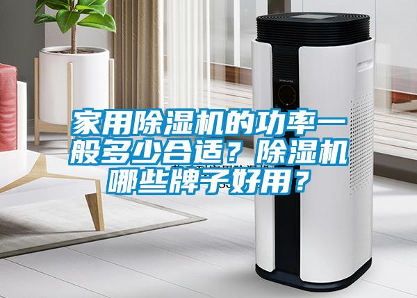 家用除濕機的功率一般多少合適？除濕機哪些牌子好用？