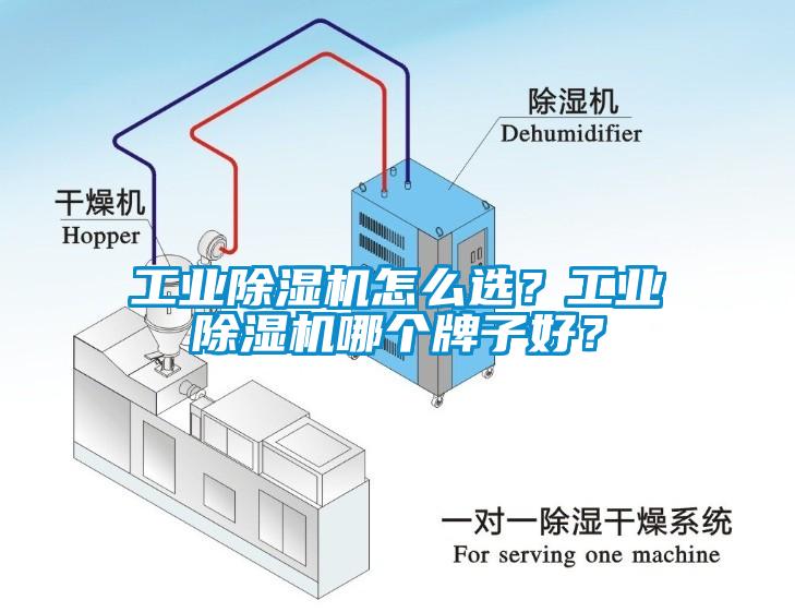 工業(yè)除濕機(jī)怎么選？工業(yè)除濕機(jī)哪個(gè)牌子好？