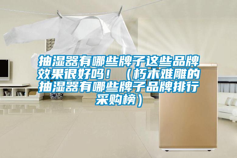 抽濕器有哪些牌子這些品牌效果很好嗎?。ㄐ嗄倦y雕的抽濕器有哪些牌子品牌排行采購榜）