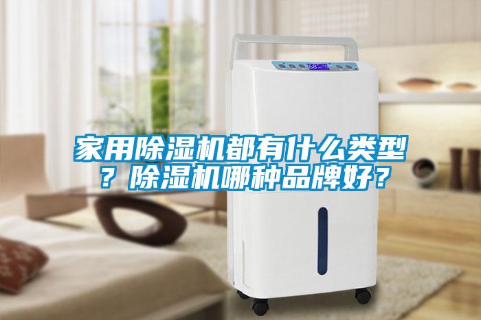 家用除濕機(jī)都有什么類型？除濕機(jī)哪種品牌好？