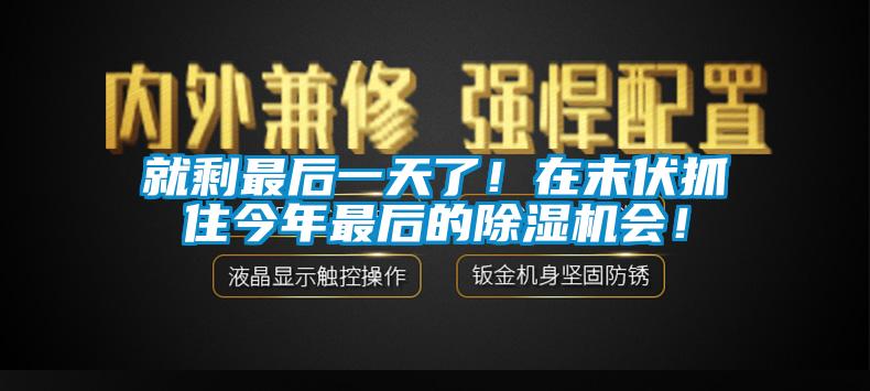 就剩最后一天了！在末伏抓住今年最后的除濕機會！