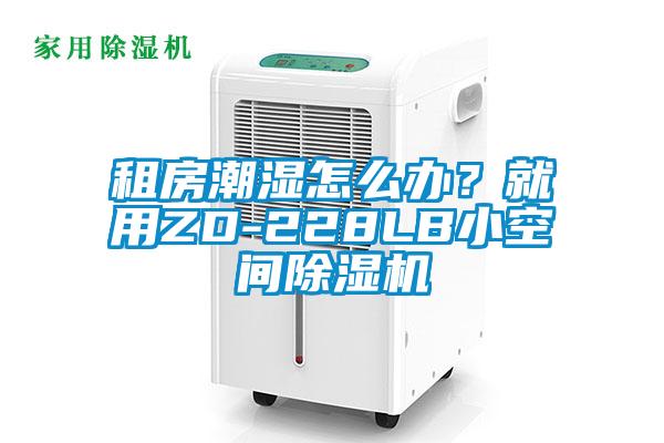 租房潮濕怎么辦？就用ZD-228LB小空間除濕機(jī)