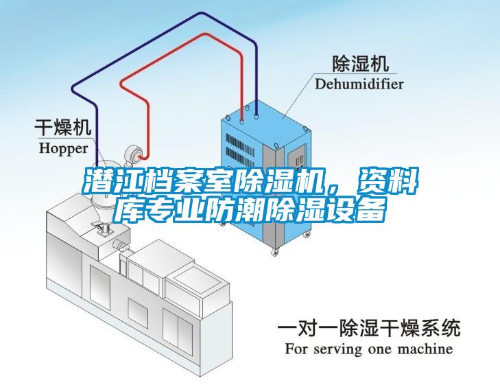 潛江檔案室除濕機(jī)，資料庫(kù)專(zhuān)業(yè)防潮除濕設(shè)備