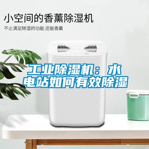 工業(yè)除濕機(jī)：水電站如何有效除濕