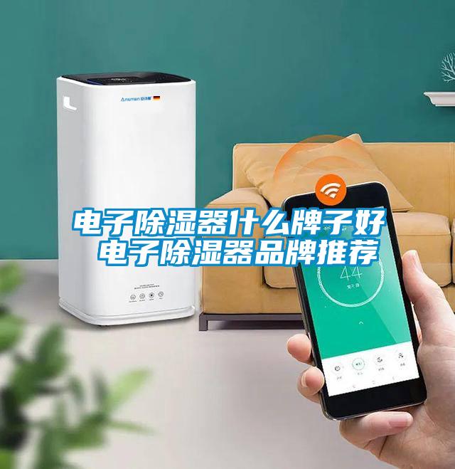 電子除濕器什么牌子好 電子除濕器品牌推薦