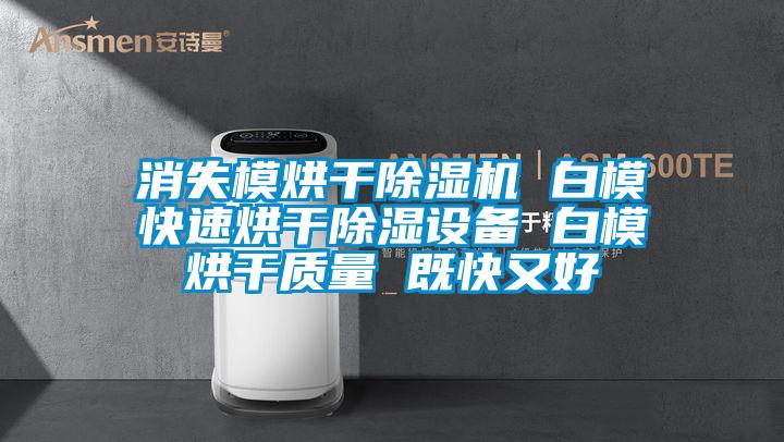 消失模烘干除濕機 白模快速烘干除濕設備 白模烘干質(zhì)量 既快又好