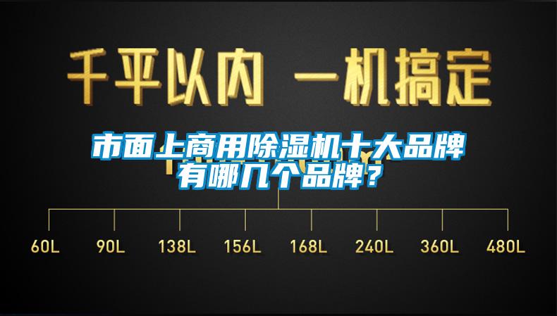 市面上商用除濕機十大品牌有哪幾個品牌？