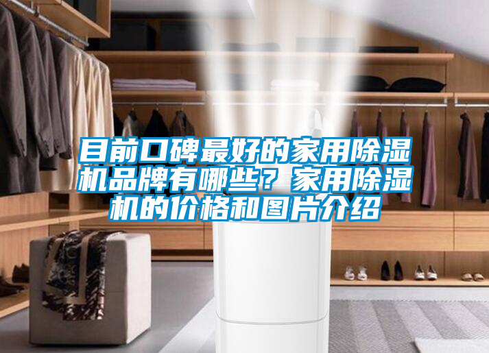 目前口碑最好的家用除濕機品牌有哪些？家用除濕機的價格和圖片介紹