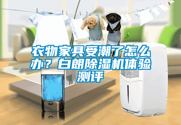 衣物家具受潮了怎么辦？白朗除濕機體驗測評