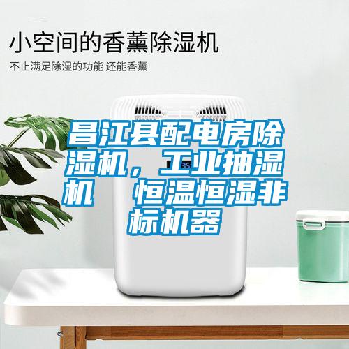 昌江縣配電房除濕機，工業(yè)抽濕機  恒溫恒濕非標(biāo)機器