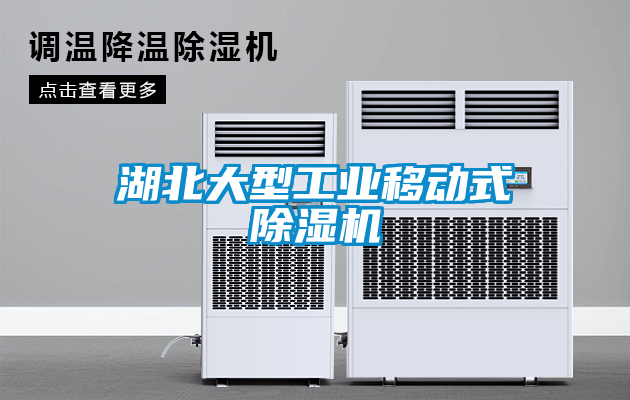 湖北大型工業(yè)移動式除濕機