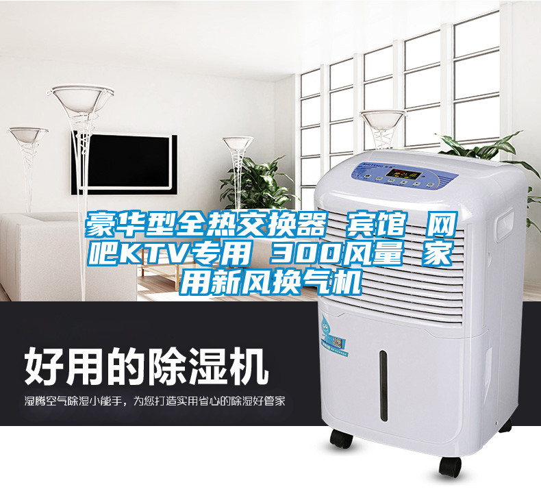 豪華型全熱交換器 賓館 網(wǎng)吧KTV專用 300風量 家用新風換氣機