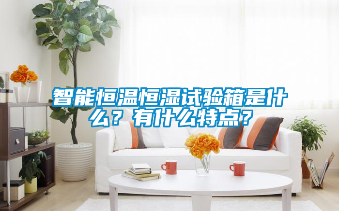 智能恒溫恒濕試驗(yàn)箱是什么？有什么特點(diǎn)？