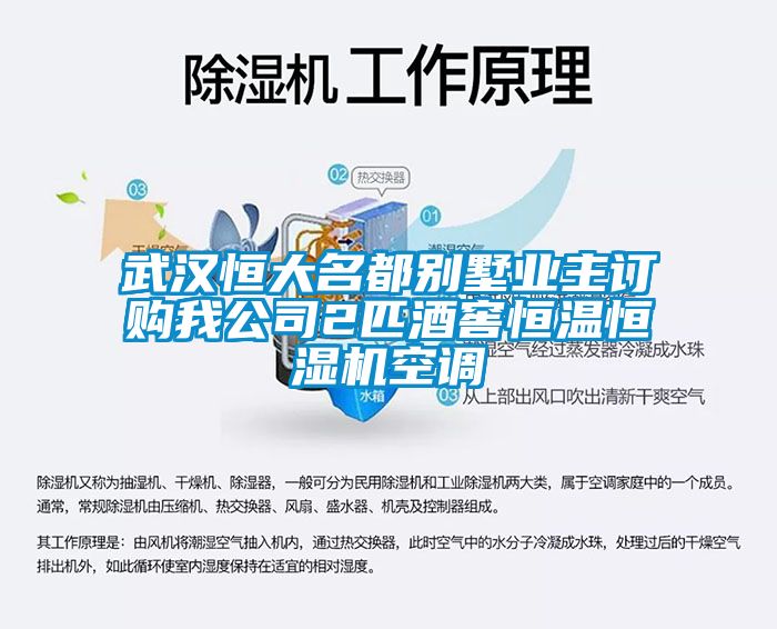 武漢恒大名都別墅業(yè)主訂購(gòu)我公司2匹酒窖恒溫恒濕機(jī)空調(diào)