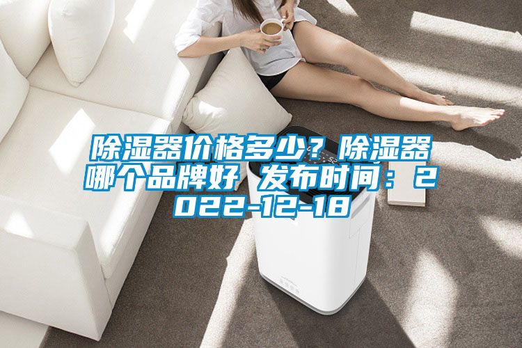 除濕器價(jià)格多少？除濕器哪個(gè)品牌好 發(fā)布時(shí)間：2022-12-18