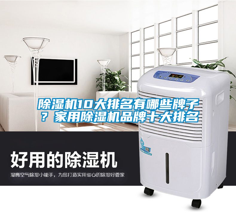 除濕機10大排名有哪些牌子？家用除濕機品牌十大排名