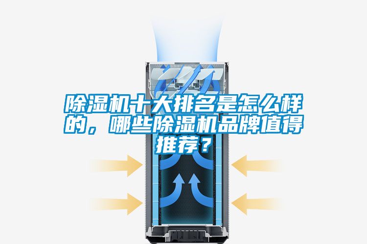 除濕機十大排名是怎么樣的，哪些除濕機品牌值得推薦？