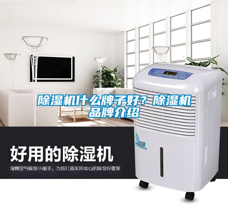 除濕機(jī)什么牌子好？除濕機(jī)品牌介紹