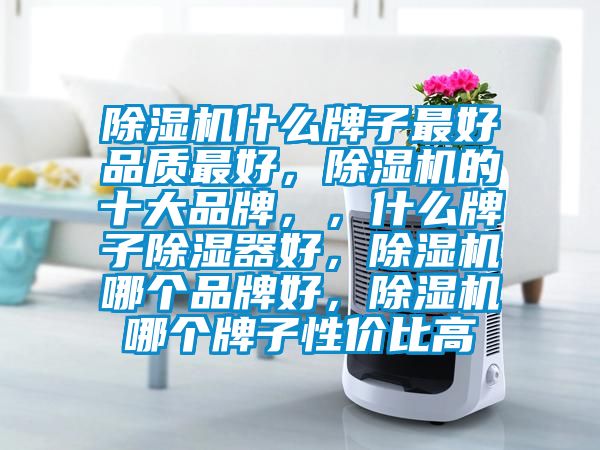 除濕機(jī)什么牌子最好品質(zhì)最好，除濕機(jī)的十大品牌，，什么牌子除濕器好，除濕機(jī)哪個(gè)品牌好，除濕機(jī)哪個(gè)牌子性價(jià)比高