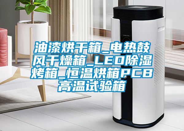 油漆烘干箱_電熱鼓風(fēng)干燥箱_LED除濕烤箱_恒溫烘箱PCB高溫試驗箱