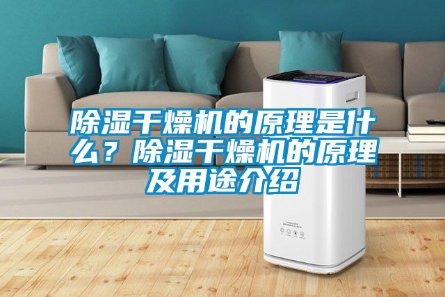 除濕干燥機的原理是什么？除濕干燥機的原理及用途介紹