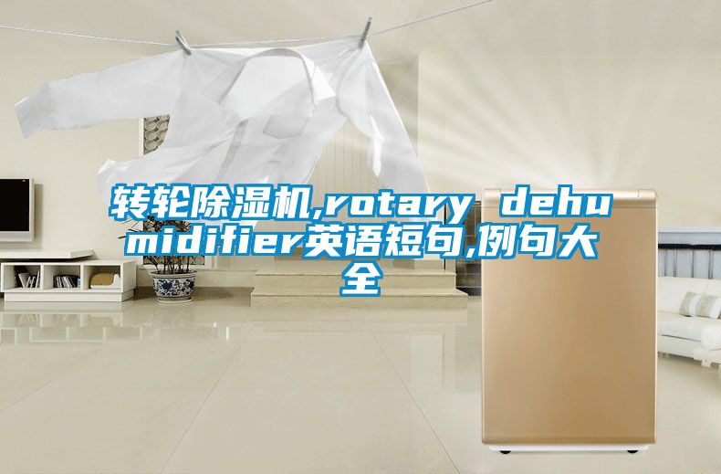 轉(zhuǎn)輪除濕機,rotary dehumidifier英語短句,例句大全