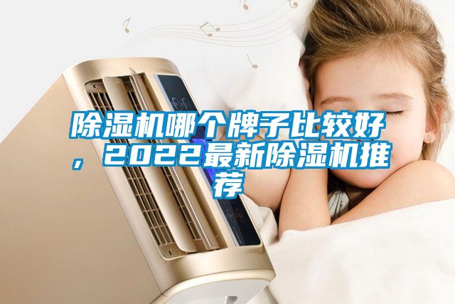 除濕機哪個牌子比較好，2022最新除濕機推薦