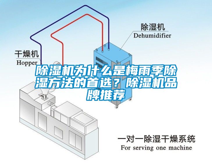 除濕機(jī)為什么是梅雨季除濕方法的首選？除濕機(jī)品牌推薦