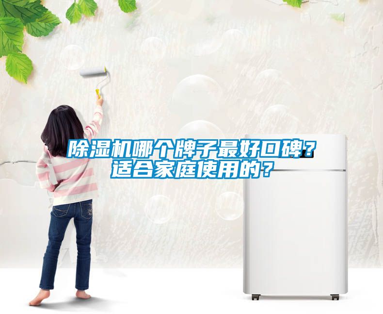 除濕機哪個牌子最好口碑？適合家庭使用的？