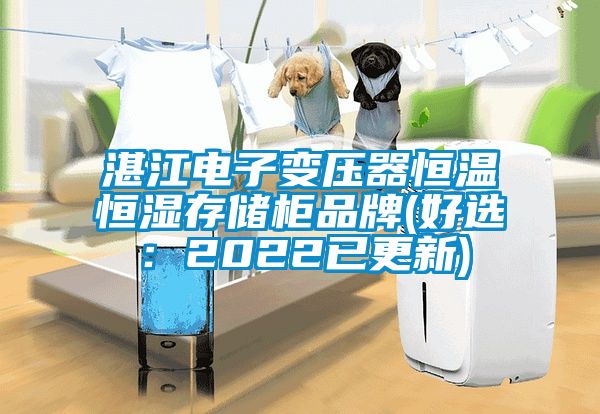 湛江電子變壓器恒溫恒濕存儲柜品牌(好選：2022已更新)