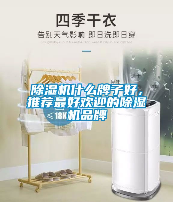 除濕機(jī)什么牌子好，推薦最好歡迎的除濕機(jī)品牌