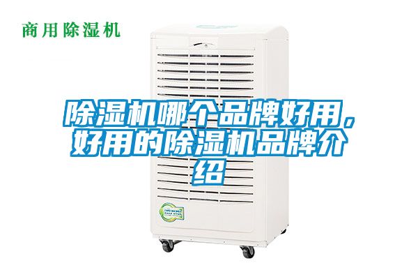 除濕機(jī)哪個(gè)品牌好用，好用的除濕機(jī)品牌介紹