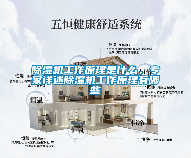 除濕機工作原理是什么，專家詳述除濕機工作原理有哪些