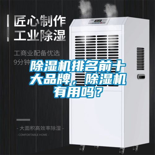 除濕機排名前十大品牌，除濕機有用嗎？