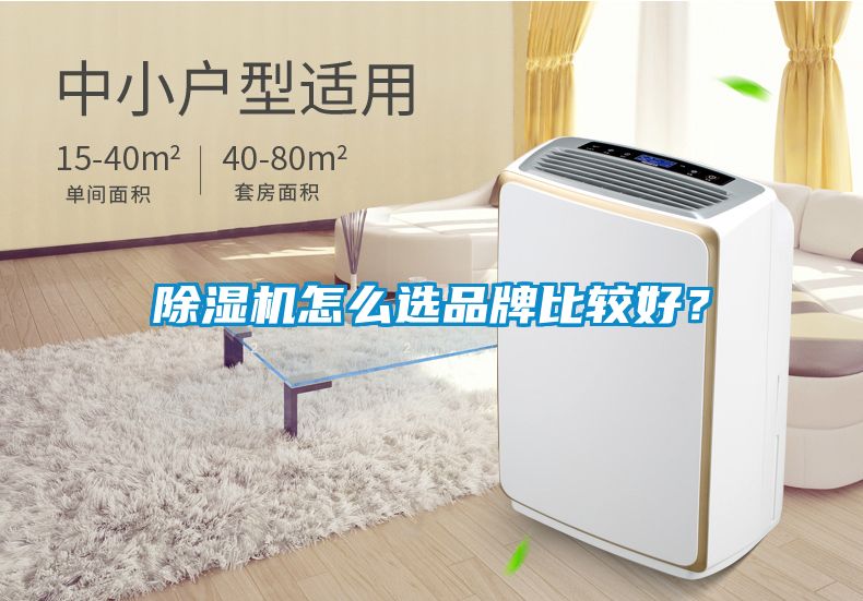 除濕機(jī)怎么選品牌比較好？