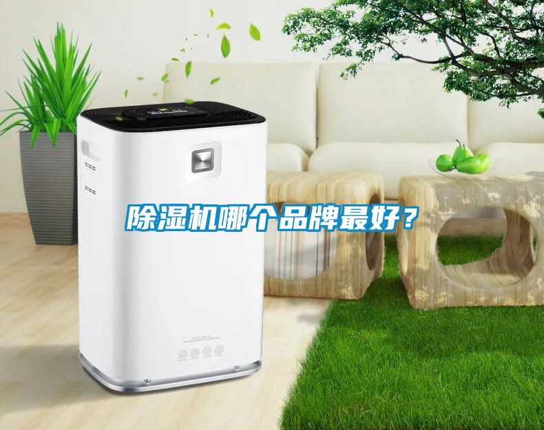 除濕機哪個品牌最好？