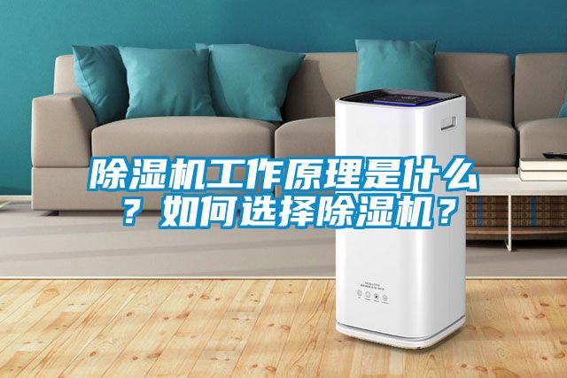 除濕機工作原理是什么？如何選擇除濕機？