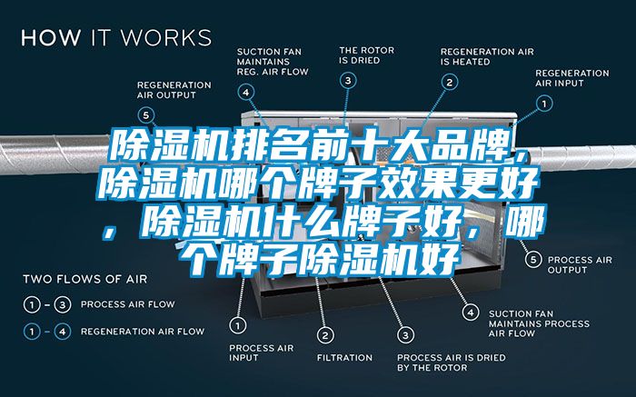 除濕機排名前十大品牌，除濕機哪個牌子效果更好，除濕機什么牌子好，哪個牌子除濕機好