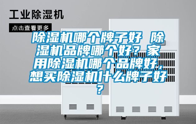 除濕機哪個牌子好 除濕機品牌哪個好？家用除濕機哪個品牌好，想買除濕機什么牌子好？