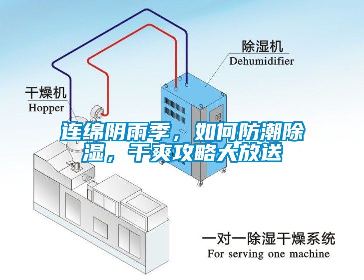 連綿陰雨季，如何防潮除濕，干爽攻略大放送