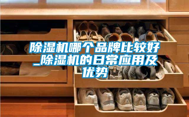 除濕機哪個品牌比較好_除濕機的日常應用及優(yōu)勢