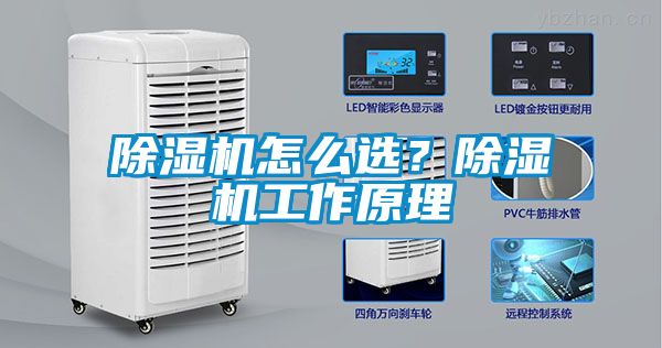 除濕機(jī)怎么選？除濕機(jī)工作原理